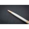 Шариковая ручка PARKER ESSENTIAL SONNET STAINLESS STEEL GT M CW1931507